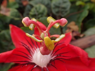 PC222939a.jpg
